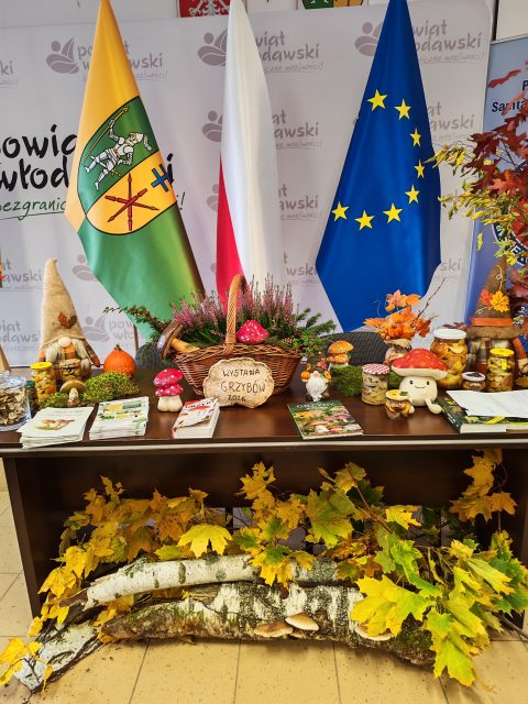 Wystawa grzybów