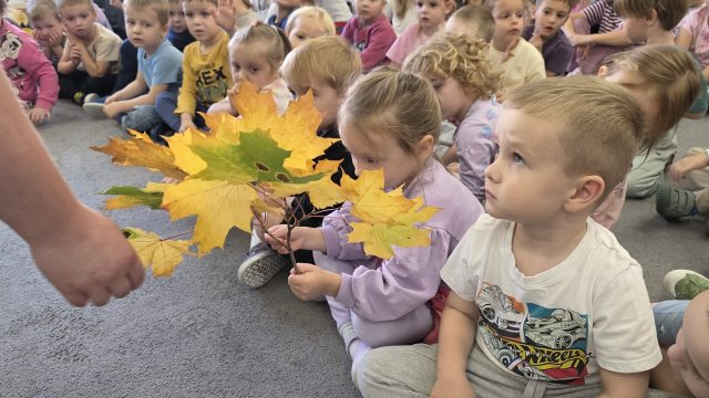 Dzieci podczas zajęć