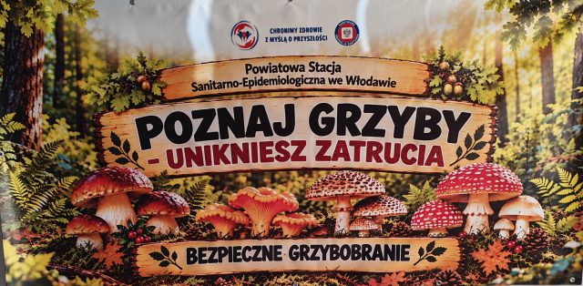 Plakat wystawy grzybów